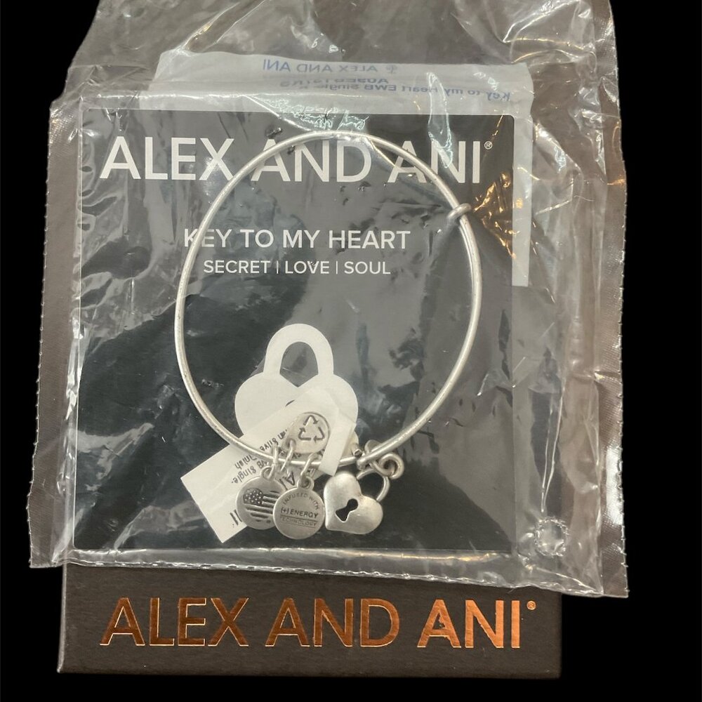 Alex and Ani key to my heart bangle bracelet